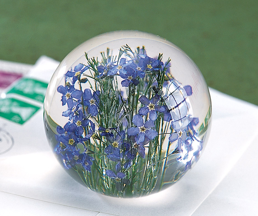 Product image for Forget-Me-Not Paperweight
