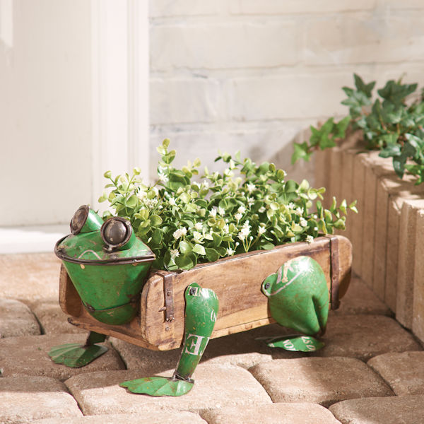 Product image for Frog Flower Box