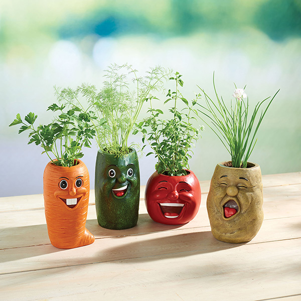 Product image for Veggie Herb Pot