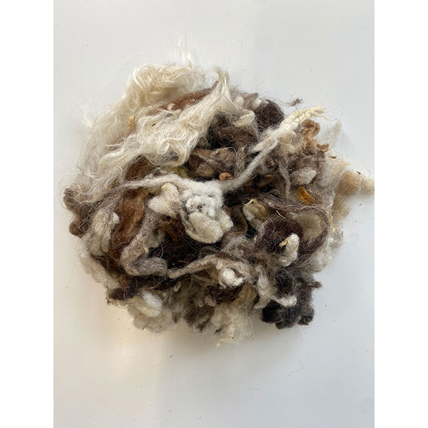 Product image for Wooly Nester Refill