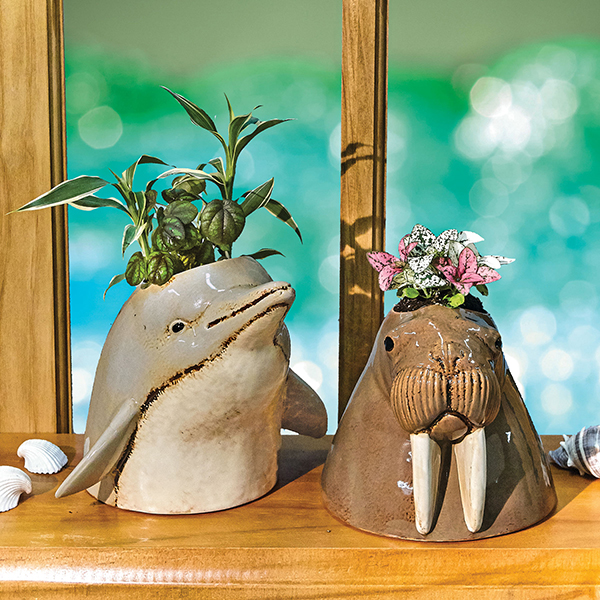 Product image for Walrus Planters