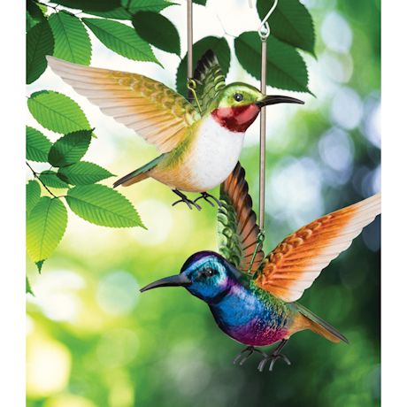 Hummingbird Bouncie Set