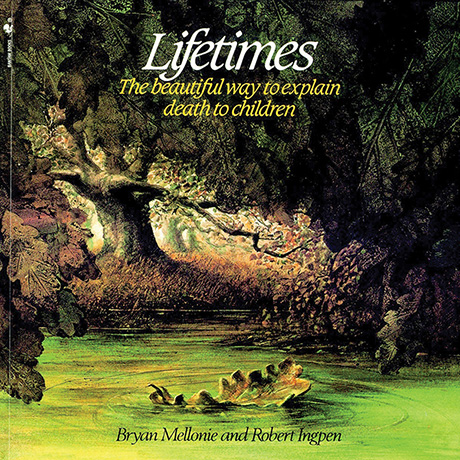 Lifetimes Book (Paperback)