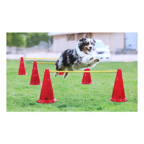 Etna Dog Agility Hurdle Set - 6 Canine Obedience Training Exercise Cones with 3 Collapsible Metal Bars - Adjustable Height