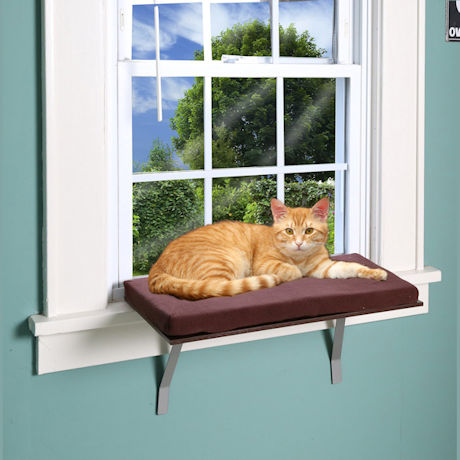 Etna Window Mount Cat Perch - Foam Padded Metal Cat Bed Ledge, Holds 20-35 Lbs.