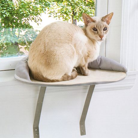 Etna Window Mount Cat Perch - Small Pet Window Seat Cat Ledge, Gray Padded Cat Bed Sill, Removable Washable Cover, Holds 20-35 Pound Animals