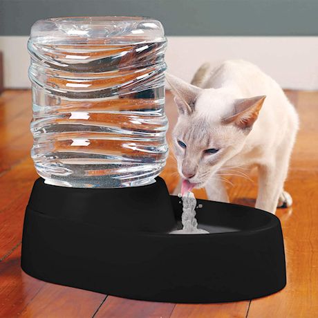 Etna Electric Pet Water Fountain - BPA Free Pet Waterer Bowl, Cat and Dog Water Bubbler Dish Holds 1 Liter