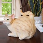 Alternate image for Cat Butt Tissue Dispenser - Orange Tabby
