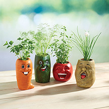 Veggie Herb Pots - Set of 4