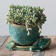 Two-Piece Frog Pot