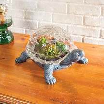 Turtle Terrarium