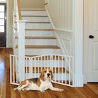 Alternate Image 7 for Home District Freestanding Pet Gate, Solid Wood 3-Panel Tri-Fold Folding Dog Gate Dog Fence for Doorways Stairs Decorative Pet Barrier - White Traditional Slat, 54' x 24'