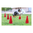 Etna Dog Agility Hurdle Set - 6 Canine Obedience Training Exercise Cones with 3 Collapsible Metal Bars - Adjustable Height