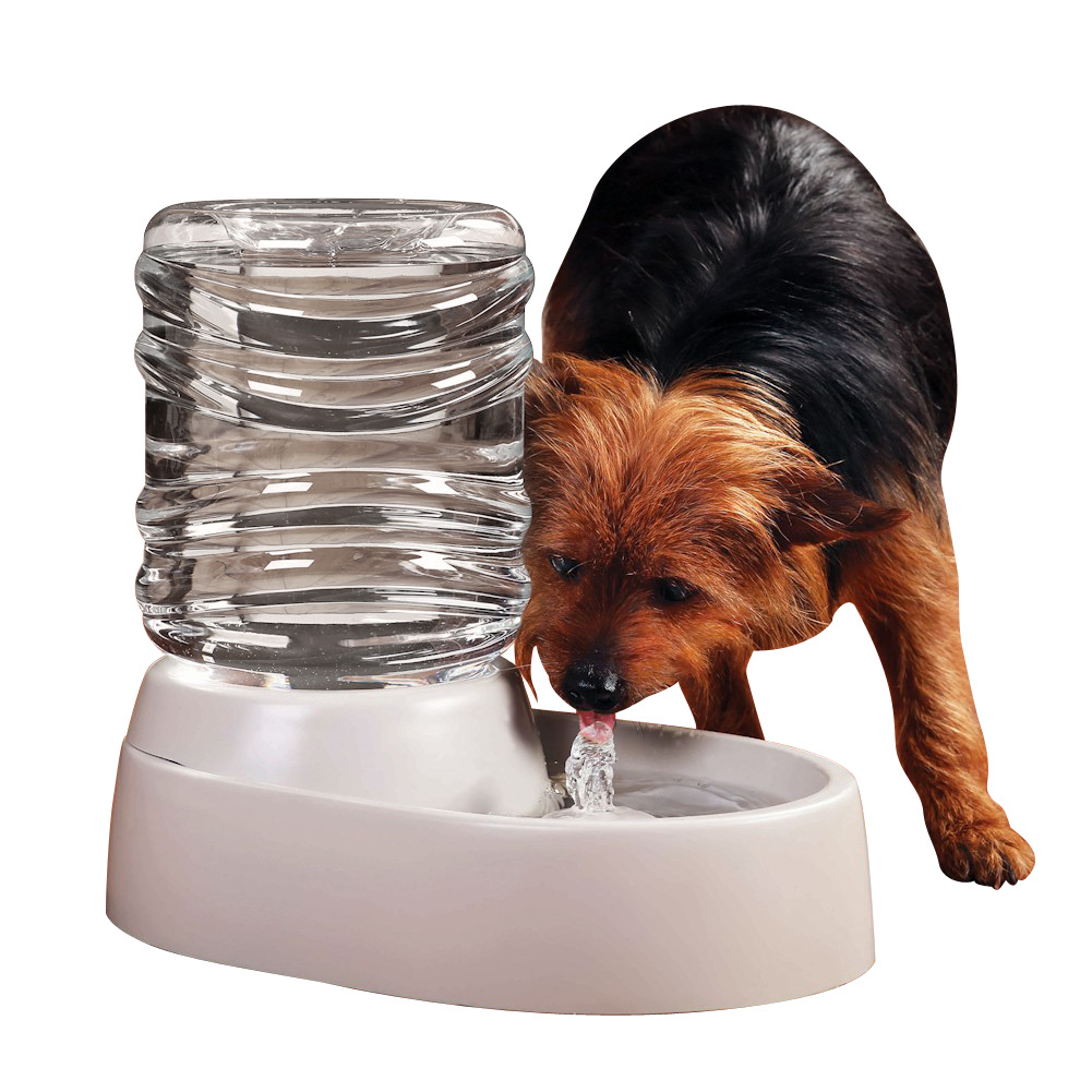 Electronic Pet Water Fountain and Dish Automatic for 