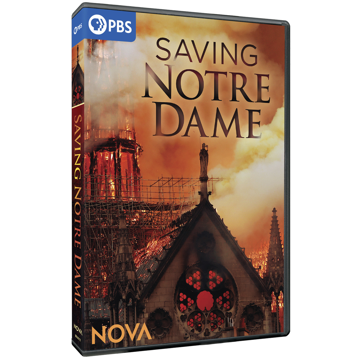 Saving Notre Dame DVD at Wireless Catalog | WC7852DV